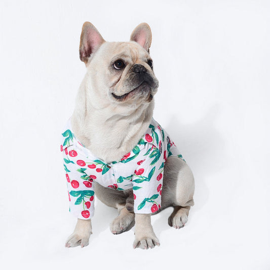 KFX-6634045 Casual Cotton Dog Shirt in Black, White, and Yellow - Various Sizes Available