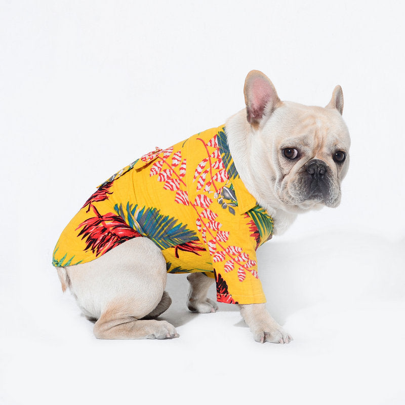 KFX-6634045 Casual Cotton Dog Shirt in Black, White, and Yellow - Various Sizes Available