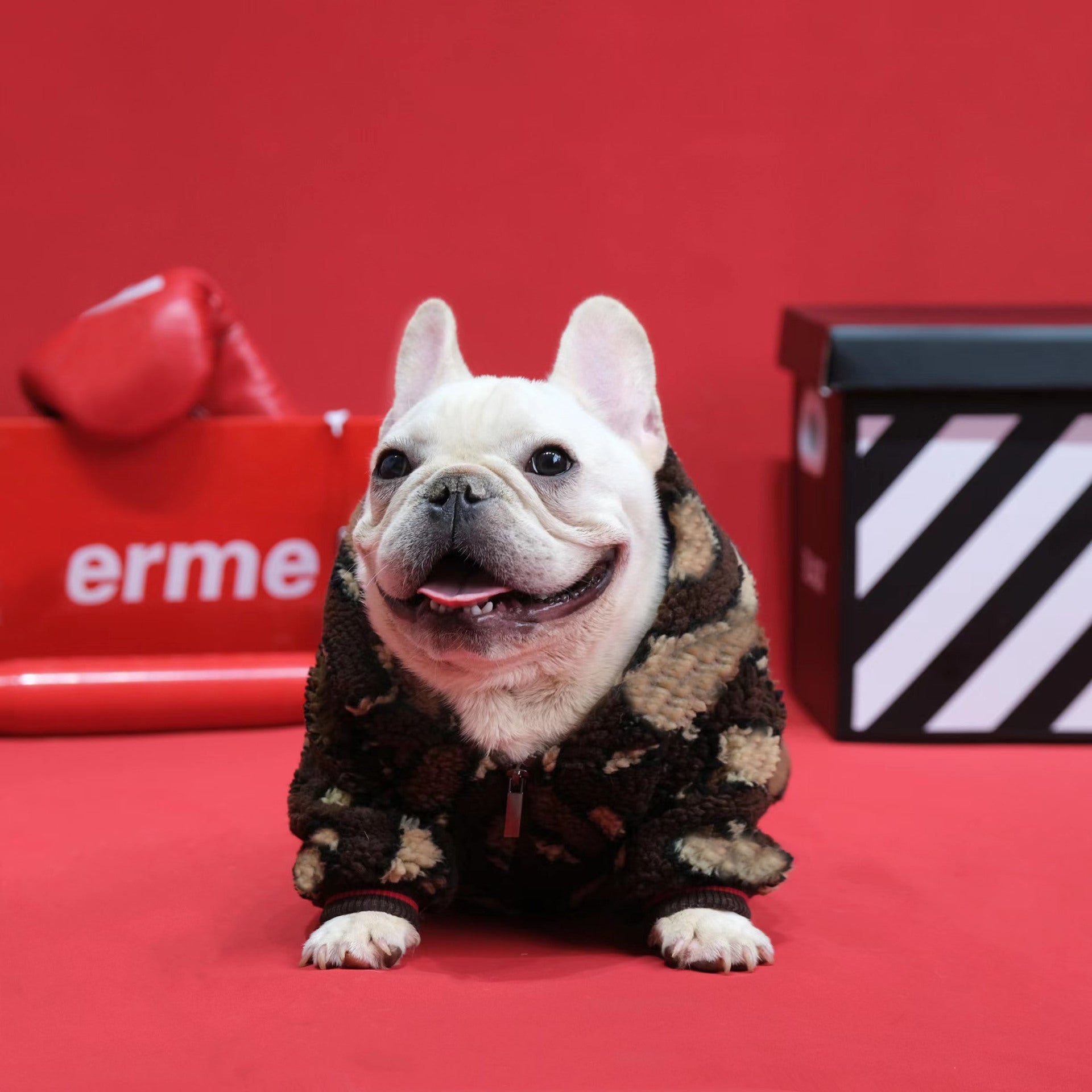 KFX-6636221 Cozy Lambswool Zip-Up Dog Shirt Coat for Autumn and Winter