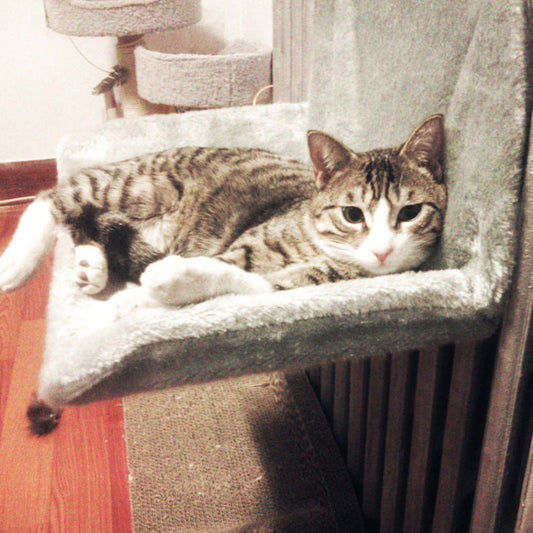 KFX-6640061 Super Portable Cat Nest with Solid Steel Frame and Removable Washable Cover, Available in Multiple Colors