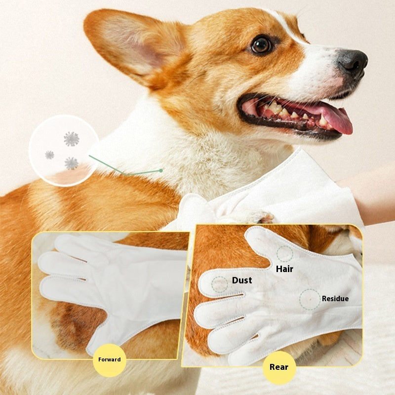 KFX-6641085 Disposable Pet Wet Wipes and Gloves Set for Dogs and Cats – 6 Pack