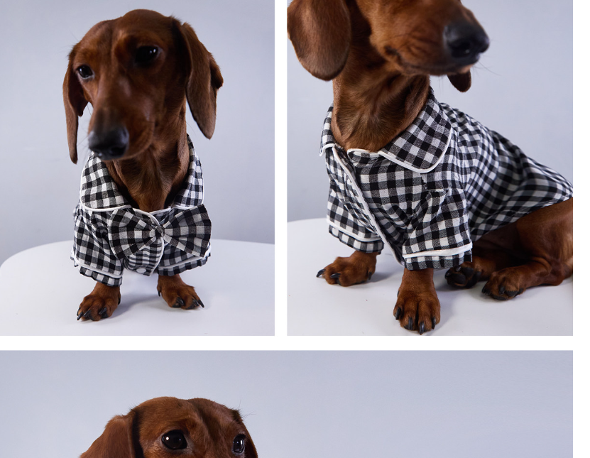 KFX-6645949 Casual British-Style Plaid Pajamas for Pets - Comfortable Everyday Wear for Dogs and Cats