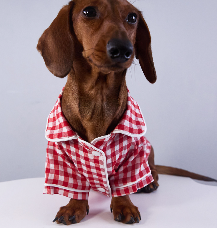 KFX-6645949 Casual British-Style Plaid Pajamas for Pets - Comfortable Everyday Wear for Dogs and Cats