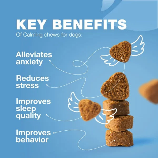 KFX-6647229 Calming Chews for Dogs with Hemp Seed Oil, Chamomile, and Valerian Root for Anxiety Relief
