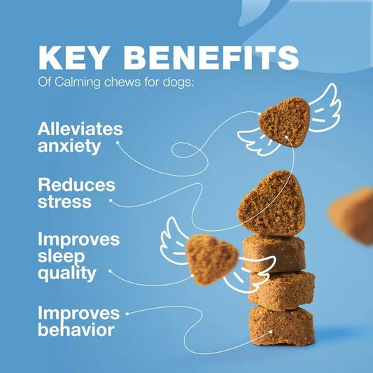 KFX-6647229 Calming Chews for Dogs with Hemp Seed Oil, Chamomile, and Valerian Root for Anxiety Relief