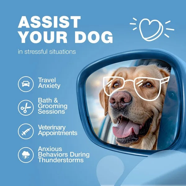 KFX-6647229 Calming Chews for Dogs with Hemp Seed Oil, Chamomile, and Valerian Root for Anxiety Relief
