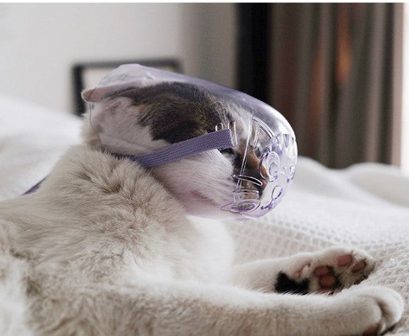 KFX-6654909 Purple Cat Eye Mask with Anti-Bite Cover - Set of 3 Sizes S/M/L for Bathing and Injection