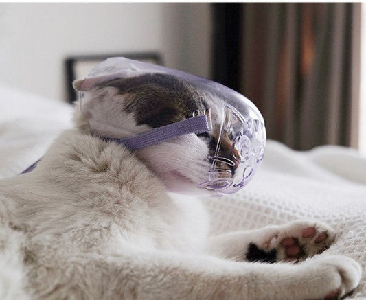 KFX-6654909 Purple Cat Eye Mask with Anti-Bite Cover - Set of 3 Sizes S/M/L for Bathing and Injection