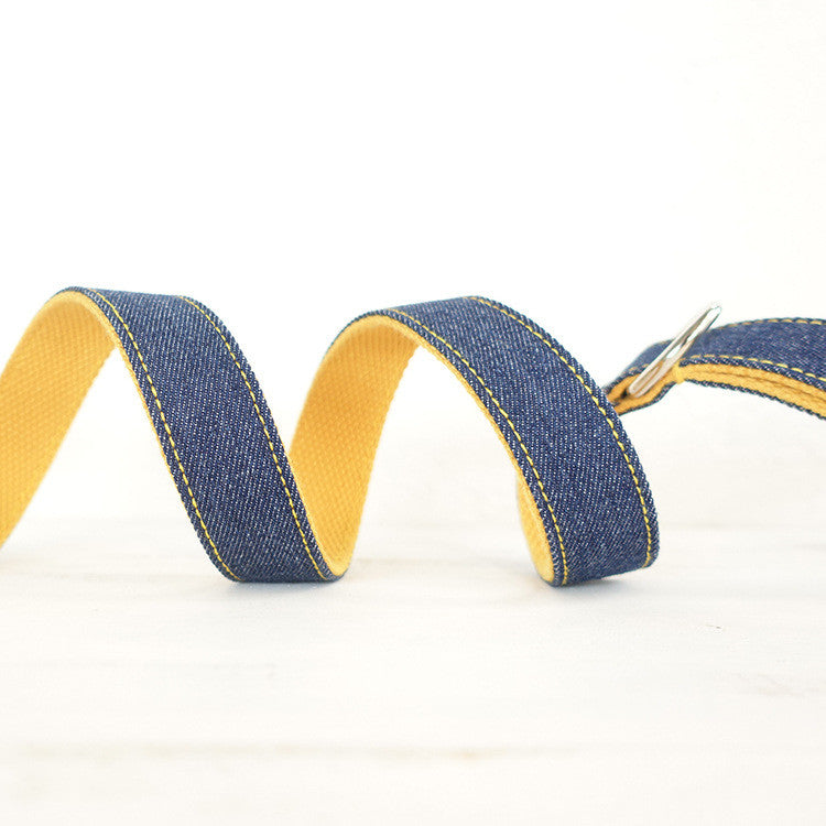 KFX-6656701 Personalized Yellow Polyester Pet Leash - Adjustable Length for XS to XL Pets