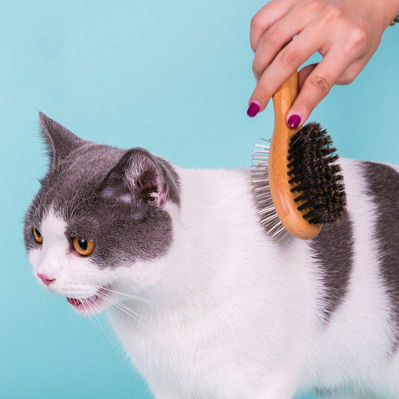 KFX-6658493 Double-Sided Stainless Steel Pet Comb for Dog Grooming and Cleaning