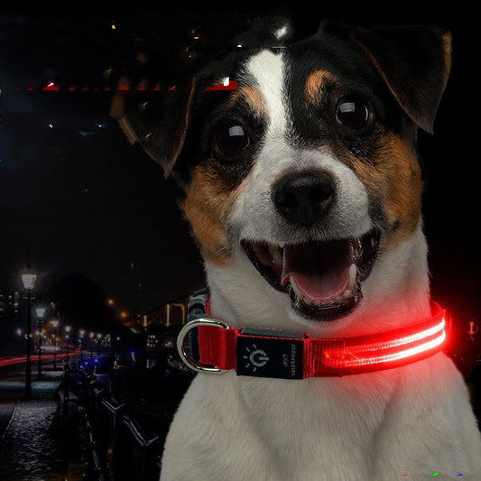 KFX-6670397 Waterproof LED Pet Collar with USB Charging and Long Battery Life - Multiple Color Options