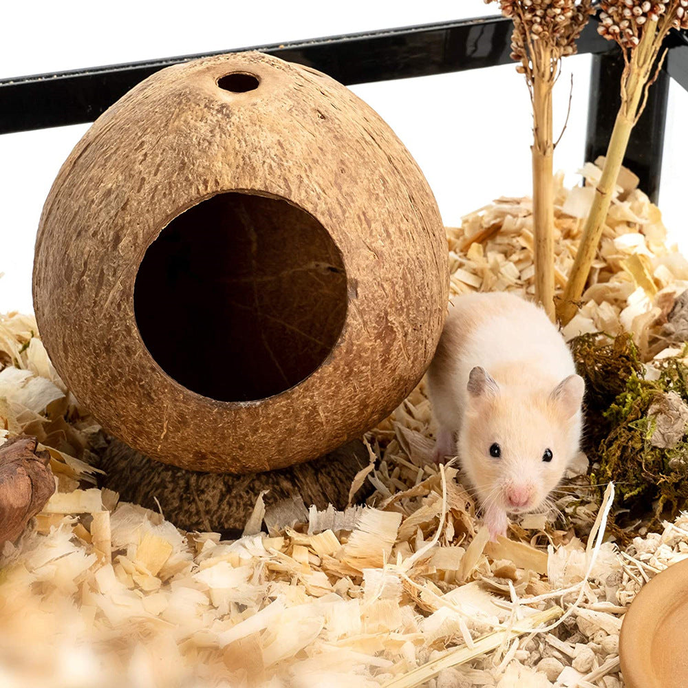 KFX-6674237 Coconut Shell Hamster Nest with Base for Small Pets and Birds