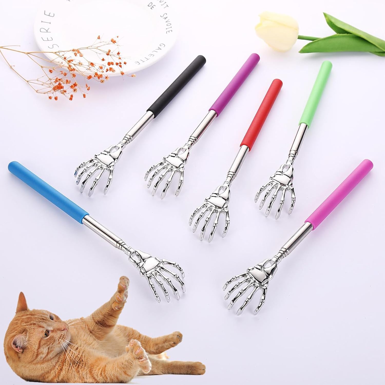 KFX-6677437 Retractable Cat Teaser Wand with Grooming Comb for Interactive Play and Bonding