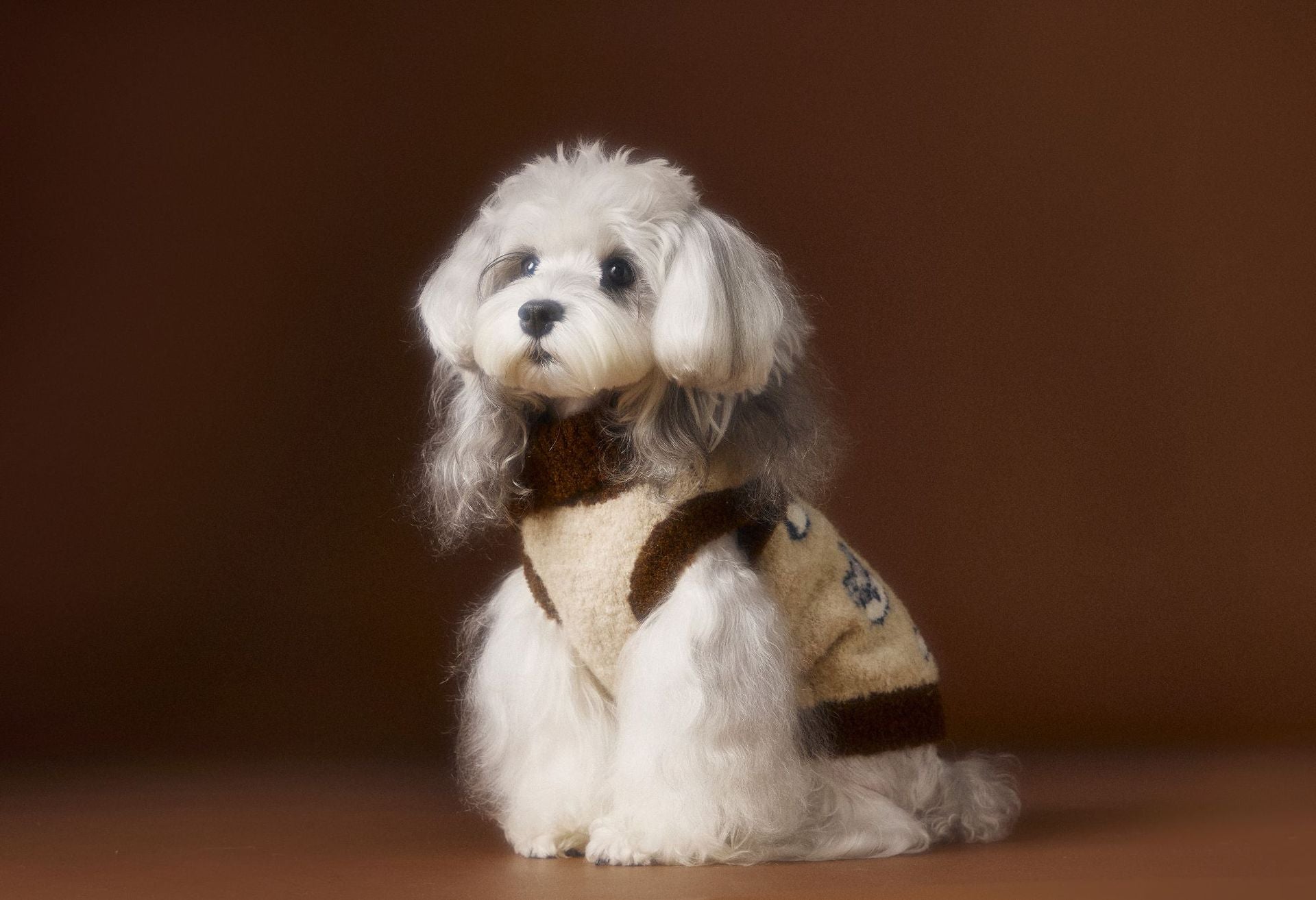 KFX-6678717 Lapel Sweater for Dogs in Various Sizes - Comfy and Stylish Pet Clothing