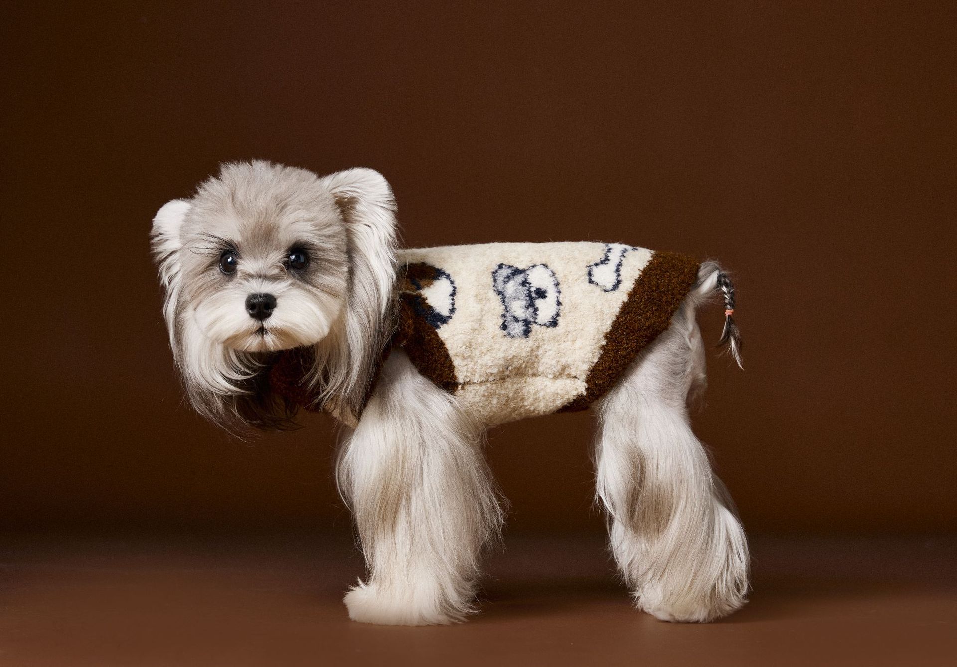 KFX-6678717 Lapel Sweater for Dogs in Various Sizes - Comfy and Stylish Pet Clothing