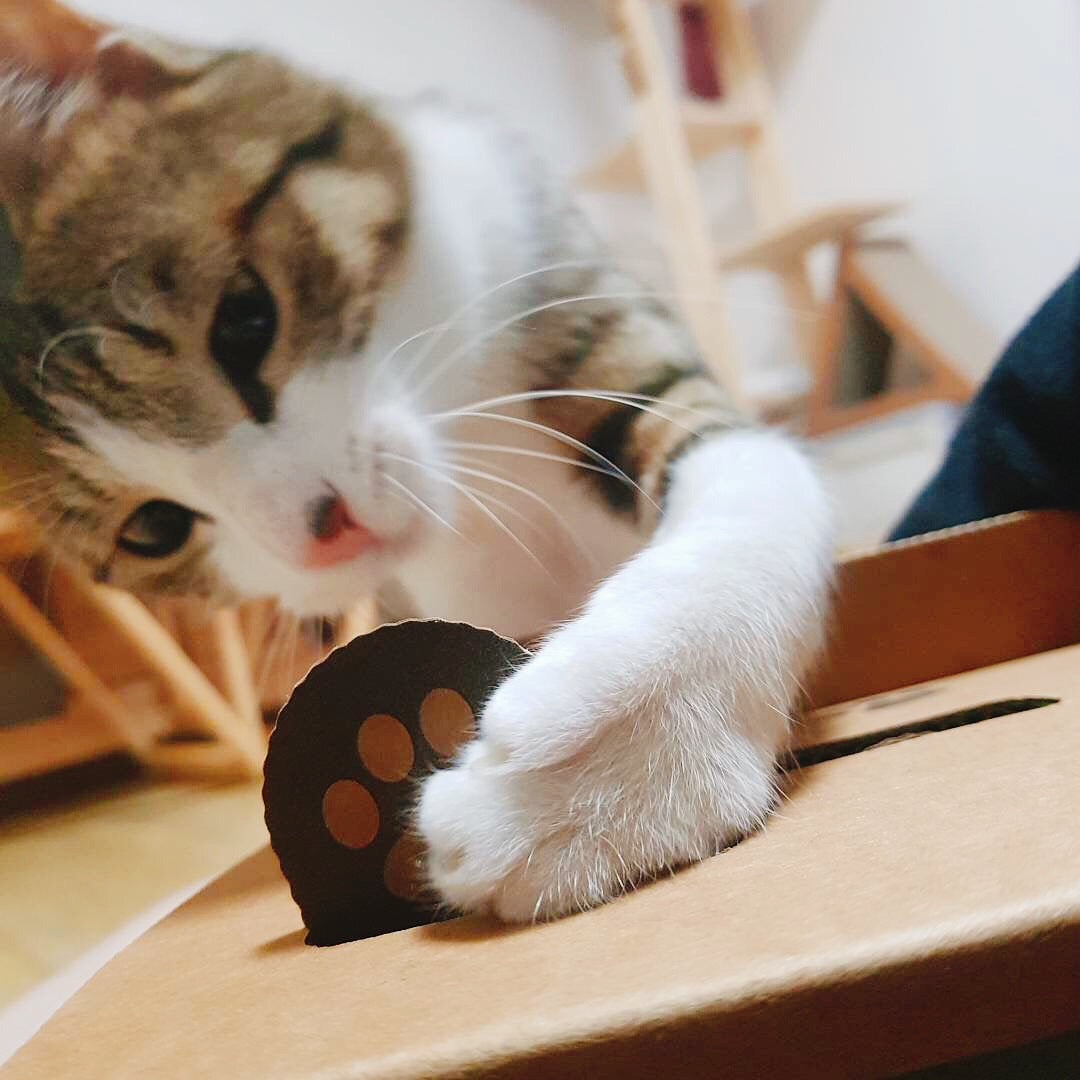 KFX-6680125 Interactive Cat Toy with Hamster Machine Design - Durable Corrugated Paper, 30x15.5x13.5cm