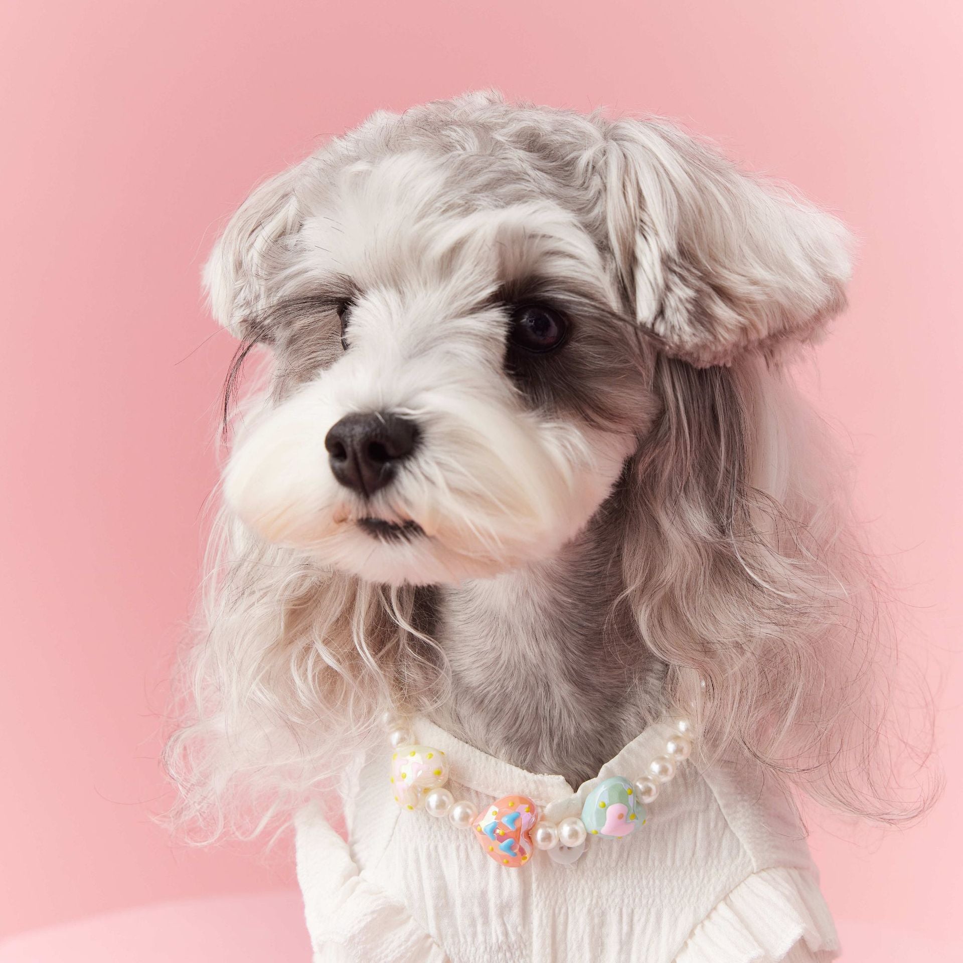 KFX-6682557 Photo Concave Dog Necklace - Beaded Pet Accessory for All Seasons, Available in S, M, L Sizes