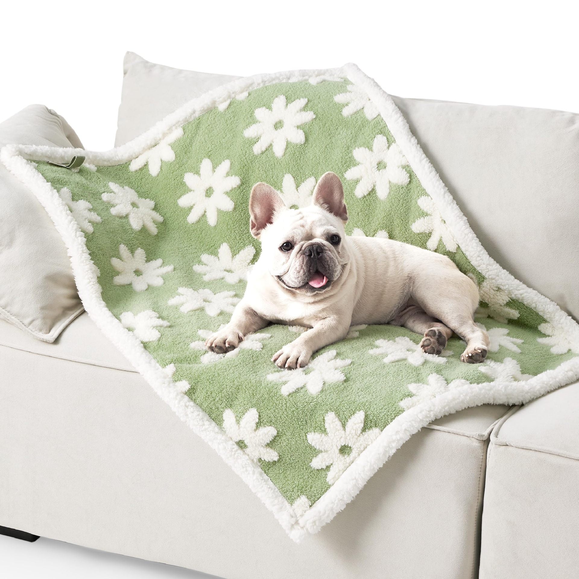 KFX-6686525 Pet Waterproof Blanket, Thickened Cloth in Multiple Patterns and Sizes for Dogs
