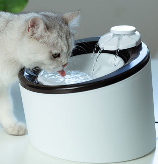 KFX-6691517 Automatic Pet Water Dispenser for Cats and Dogs - White Plastic Design