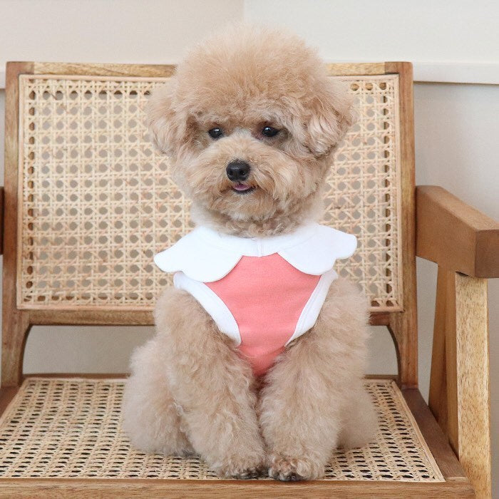 KFX-6695997 Cute Soft Vest for Dogs with Cloud Embroidery in Yellow, Blue, and Pink