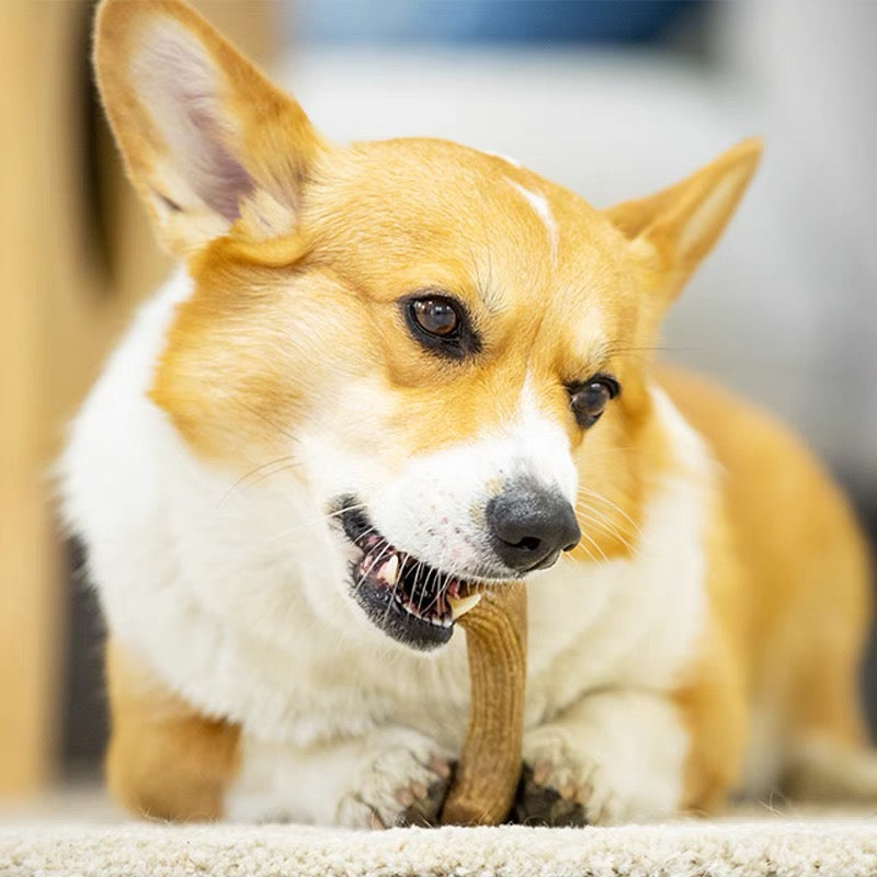 KFX-6702013 Natural Pine Wood Antler Molar Stick for Small and Medium Dogs - Dental Care Toy