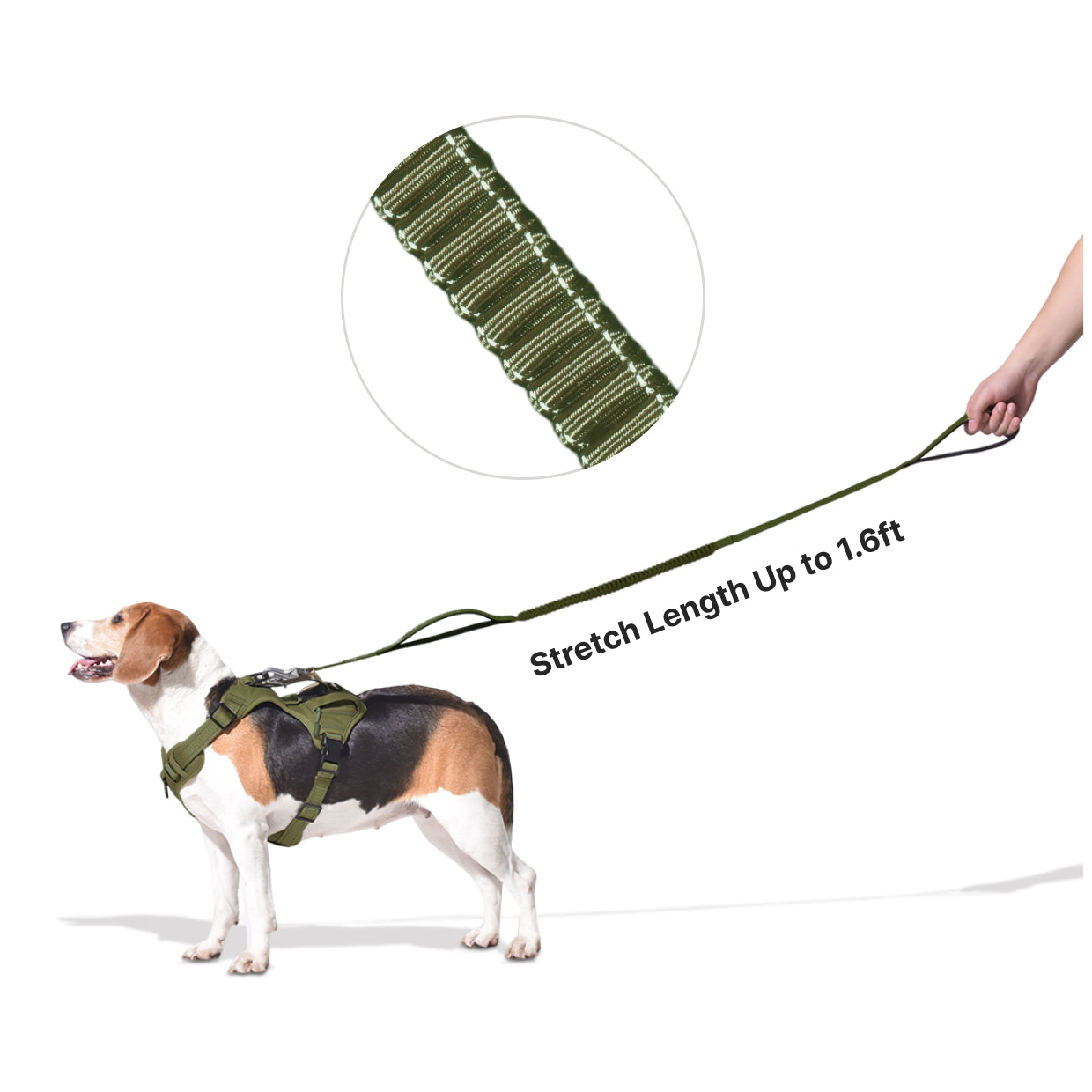 KFX-6702653 Heavy Duty Shock Absorbing Tactical Dog Leash with Dual Handles for Safe Training
