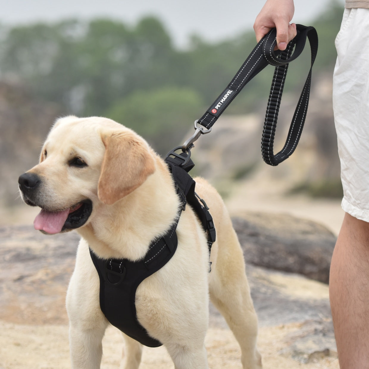 KFX-6702653 Heavy Duty Shock Absorbing Tactical Dog Leash with Dual Handles for Safe Training