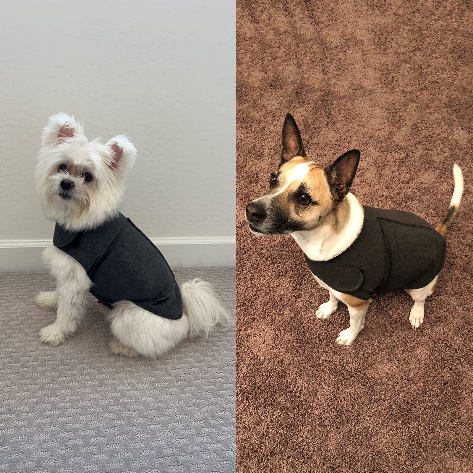 KFX-6712509 Warm British Style Dog Vest – Cozy Polyester Pet Clothing in Multiple Sizes