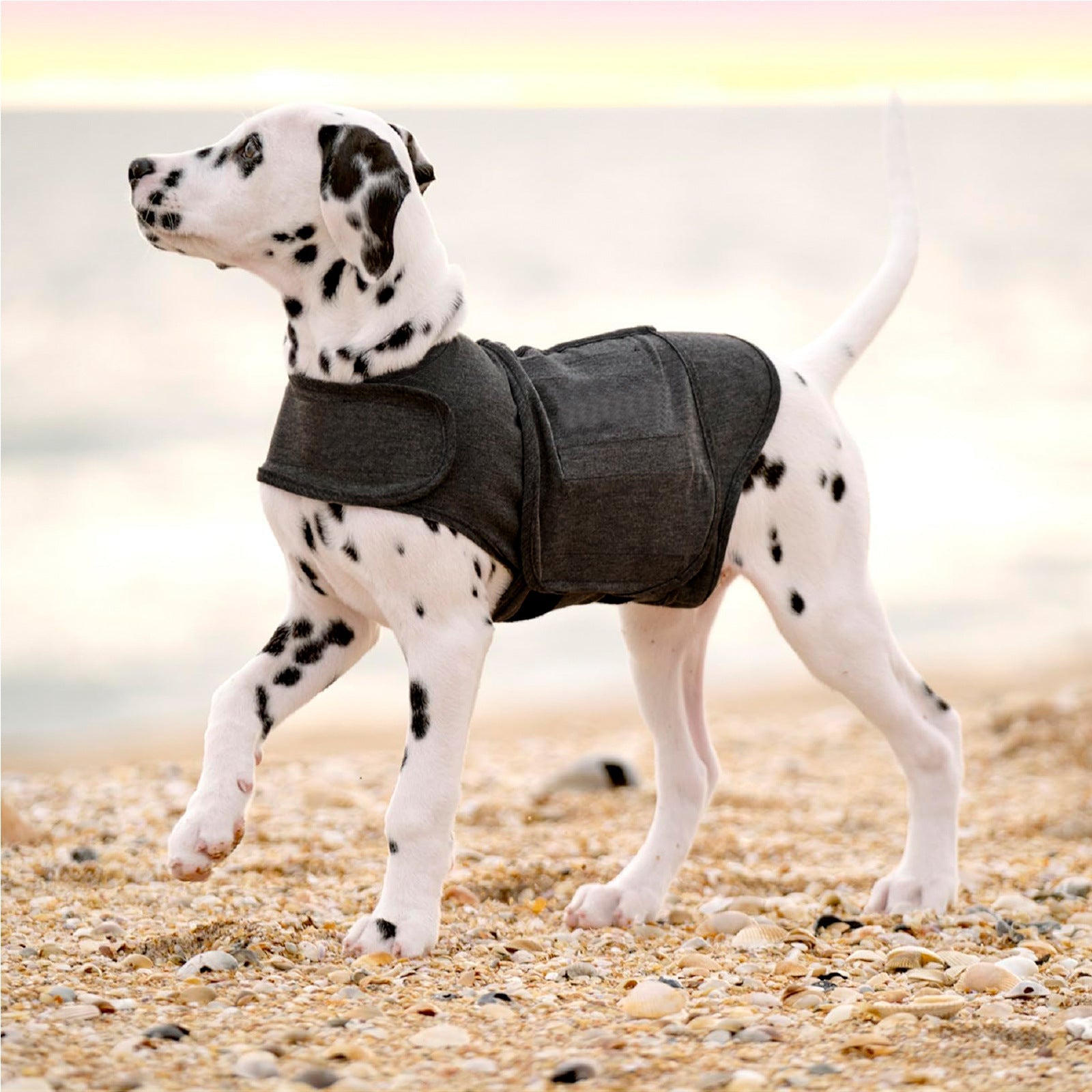 KFX-6712509 Warm British Style Dog Vest – Cozy Polyester Pet Clothing in Multiple Sizes