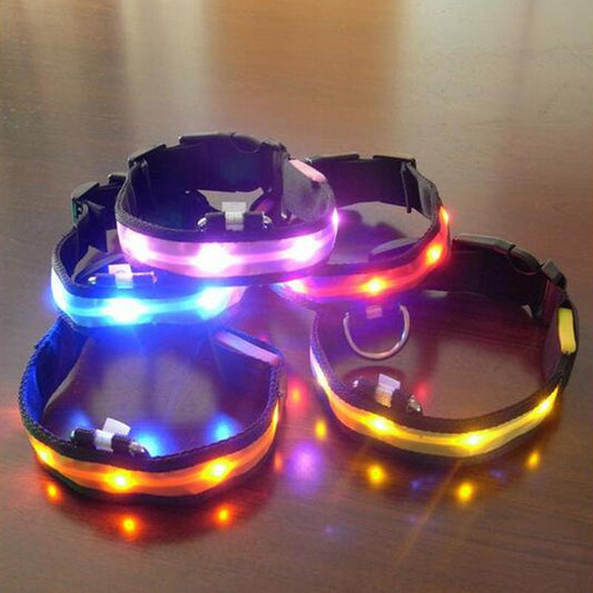 KFX-6714685 Vibrant LED Dog Collar with USB Rechargeable Battery - Multiple Colors and Sizes Available