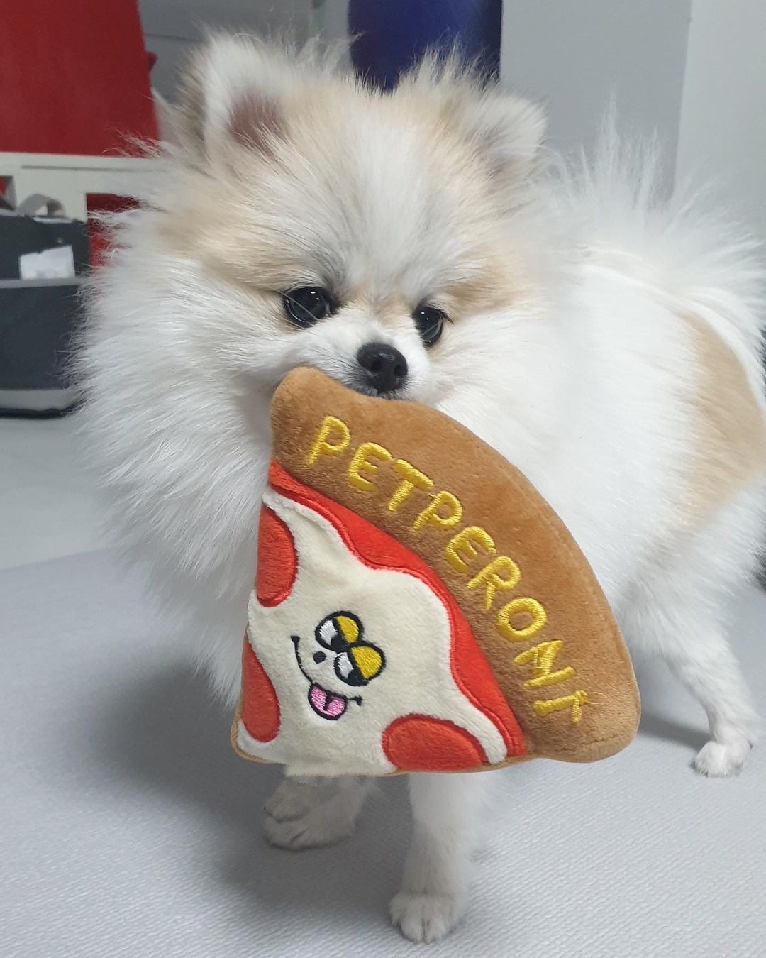 KFX-6717501 Pizza Toy for Dogs with BB Sounds and Crinkle Fun in Pizza Box Packaging