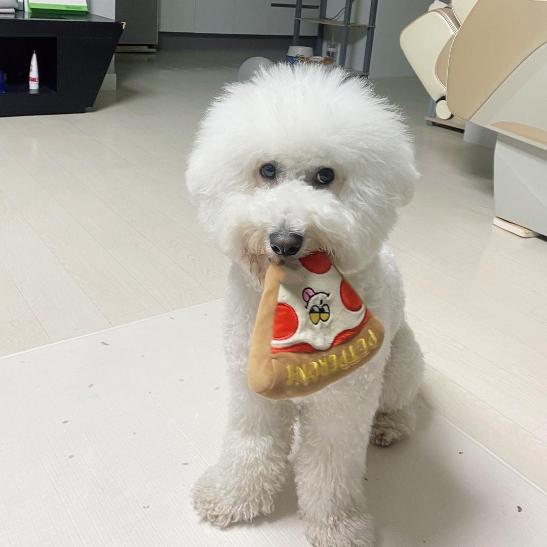 KFX-6717501 Pizza Toy for Dogs with BB Sounds and Crinkle Fun in Pizza Box Packaging