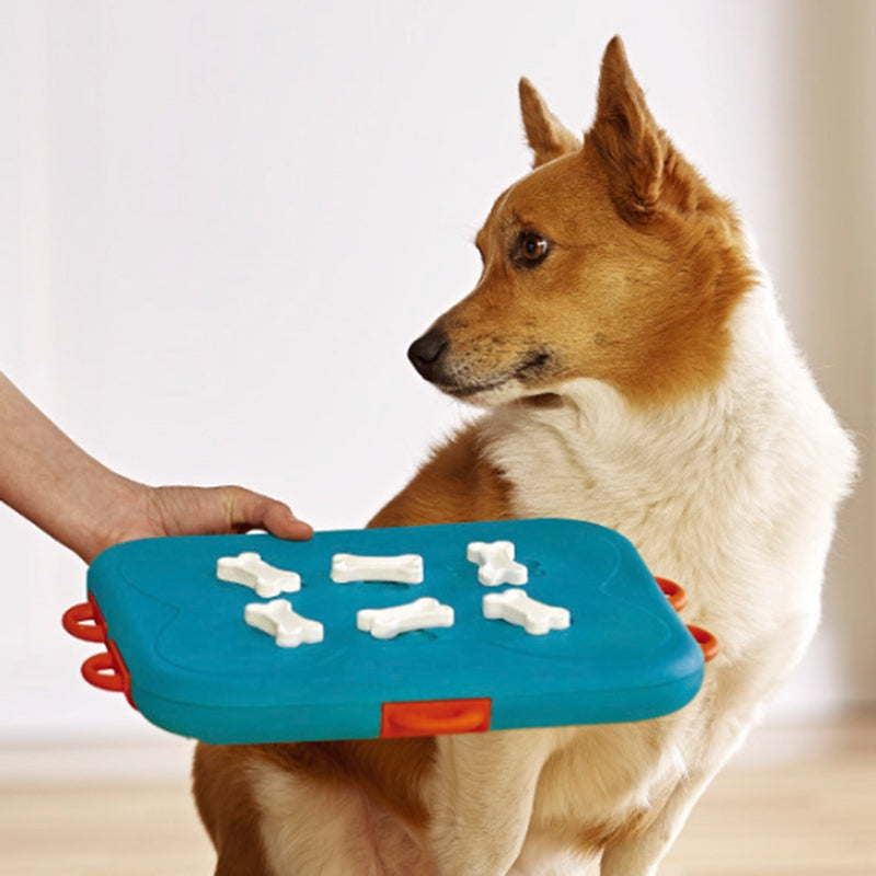 KFX-6723261 Interactive Educational Dog Food Feeder Toy - Slow Feeding Puzzle with 6 Snack Compartments for Dogs