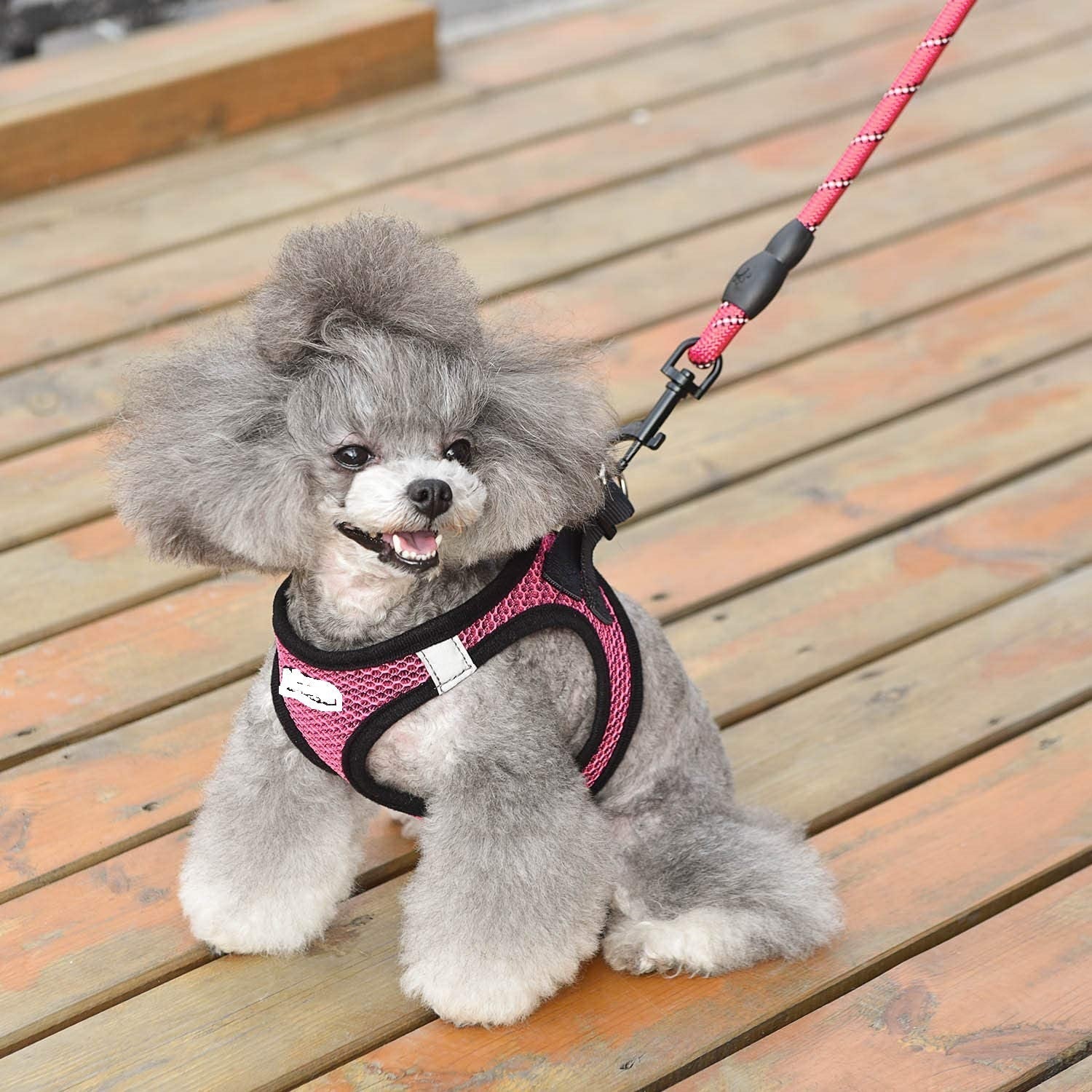 KFX-6727485 Reflective Nylon Dog Leash with Traction Belt and Chest Strap Design