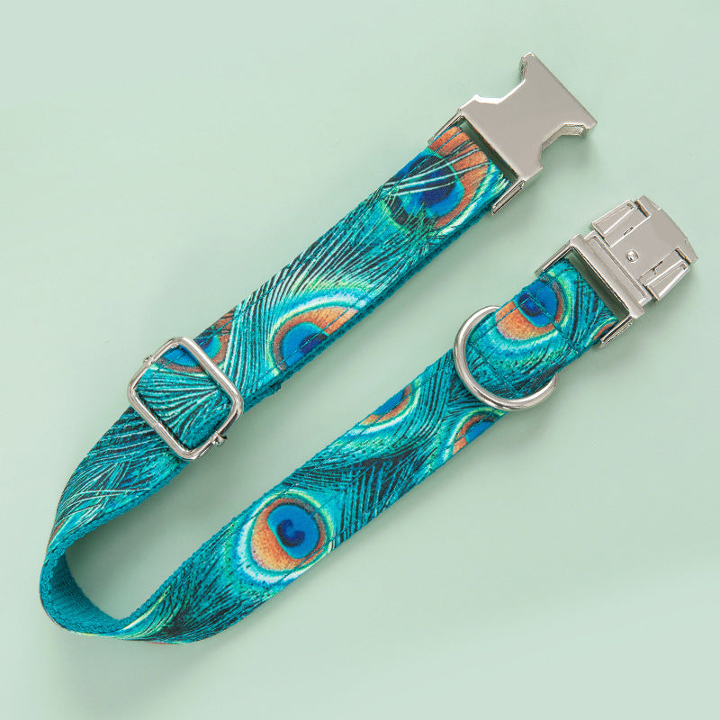 KFX-6730045 Peacock Zinc Alloy Buckle Dog Collar with Towing Rope, Available in XS to XL