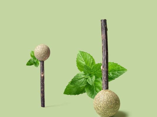 KFX-6735549 Catnip Lollipop Toy for Cats – Organic Catnip Molar Stick