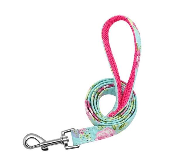 KFX-6739517 Durable Nylon Dog Leash for Personalized Dog Collars