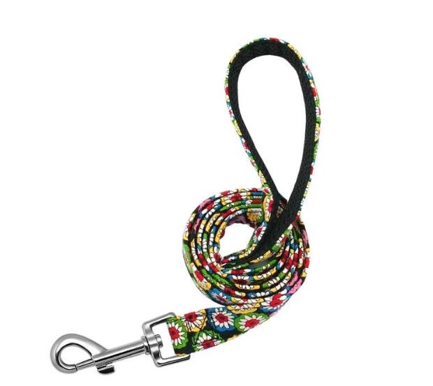KFX-6739517 Durable Nylon Dog Leash for Personalized Dog Collars