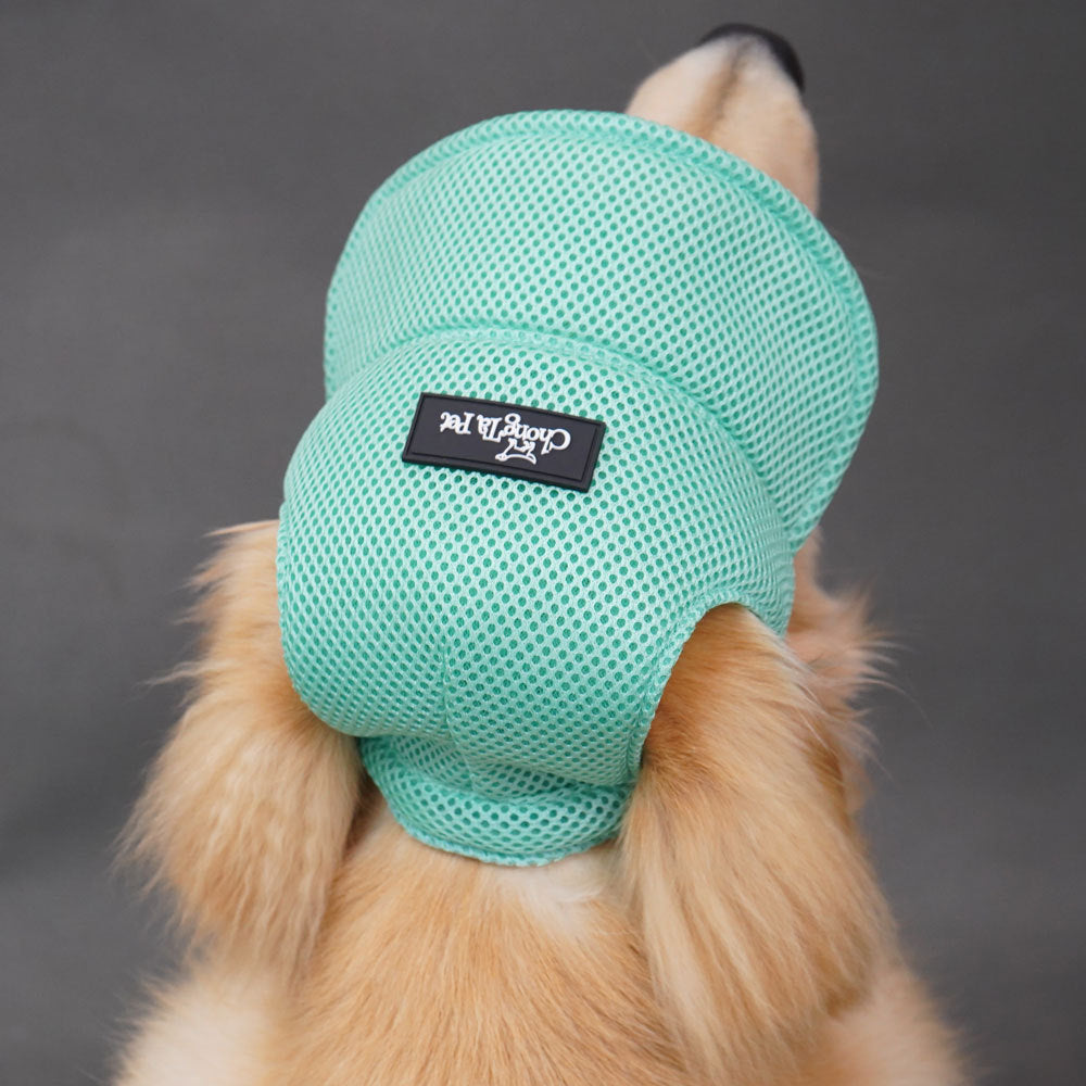 KFX-6744253 Breathable Summer Dog Hat for Golden Retrievers - Ear Leakage Protection, Jacquard Fabric, Available in Green and Pink