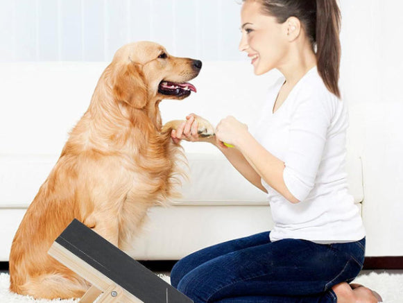 KFX-6746301 Adjustable Wooden Dog Scratcher with Pull-out Nail Scraper