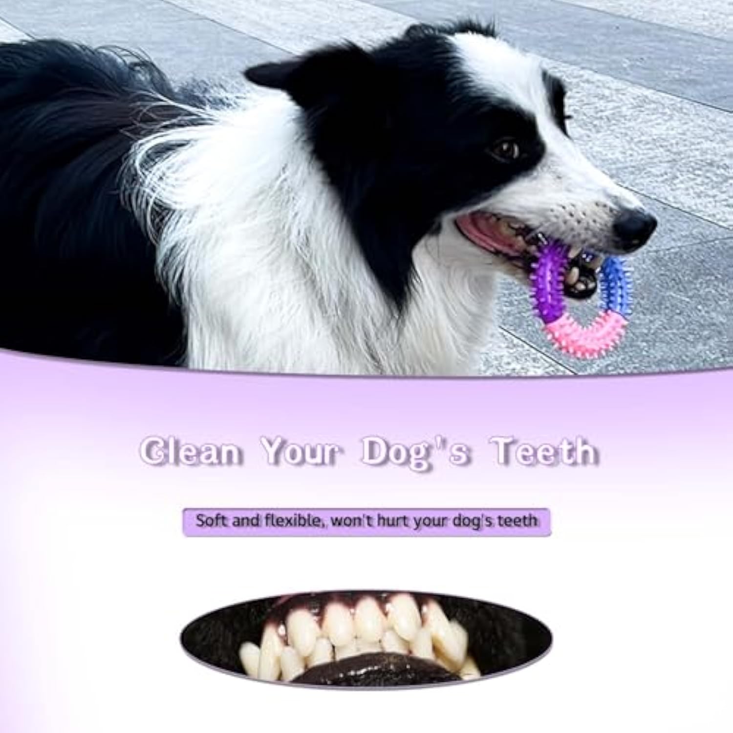 KFX-6752701 Durable Rubber Dog Chew Ring for Teething, Interactive Pet Toy for Small to Large Dogs