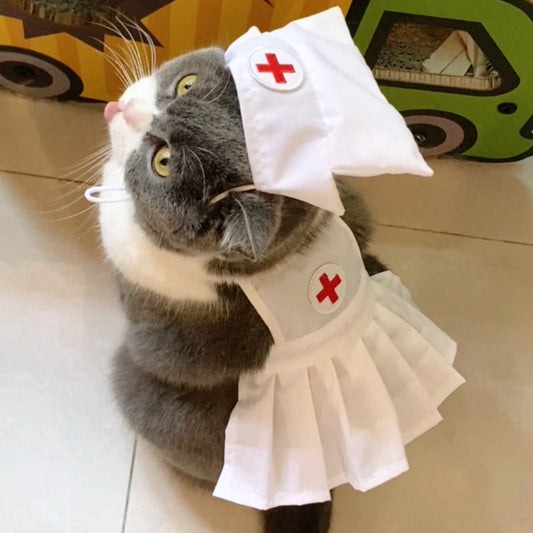 KFX-6752829 Stylish Personalized White Dress Set with Hat for Cats, Available in S and M Sizes
