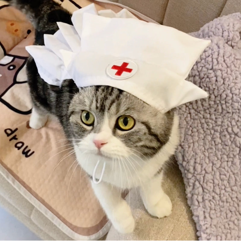 KFX-6752829 Stylish Personalized White Dress Set with Hat for Cats, Available in S and M Sizes