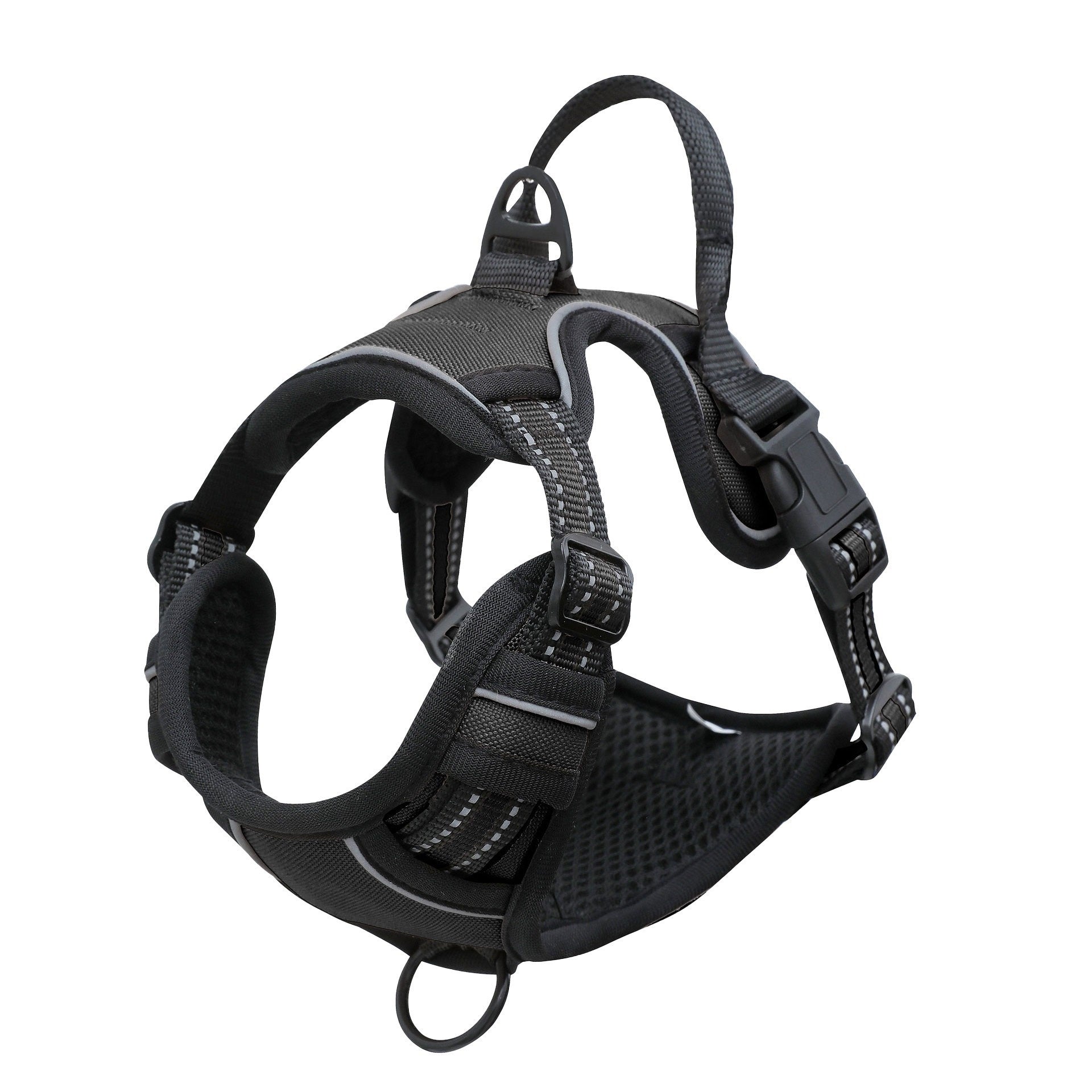 KFX-6753213 4G Pet-View Camera Recorder Collar with Night Vision & Adjustable Harness Options