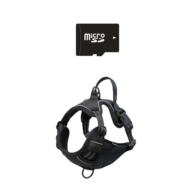 KFX-6753213 4G Pet-View Camera Recorder Collar with Night Vision & Adjustable Harness Options