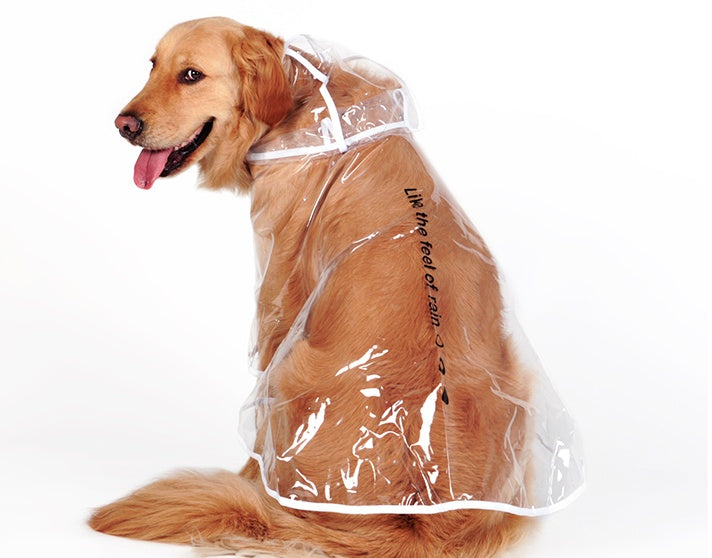 KFX-6755389 Transparent Waterproof Raincoat for Medium-Sized Dogs, 3XL to 7XL, Universal Fit, White Side Design
