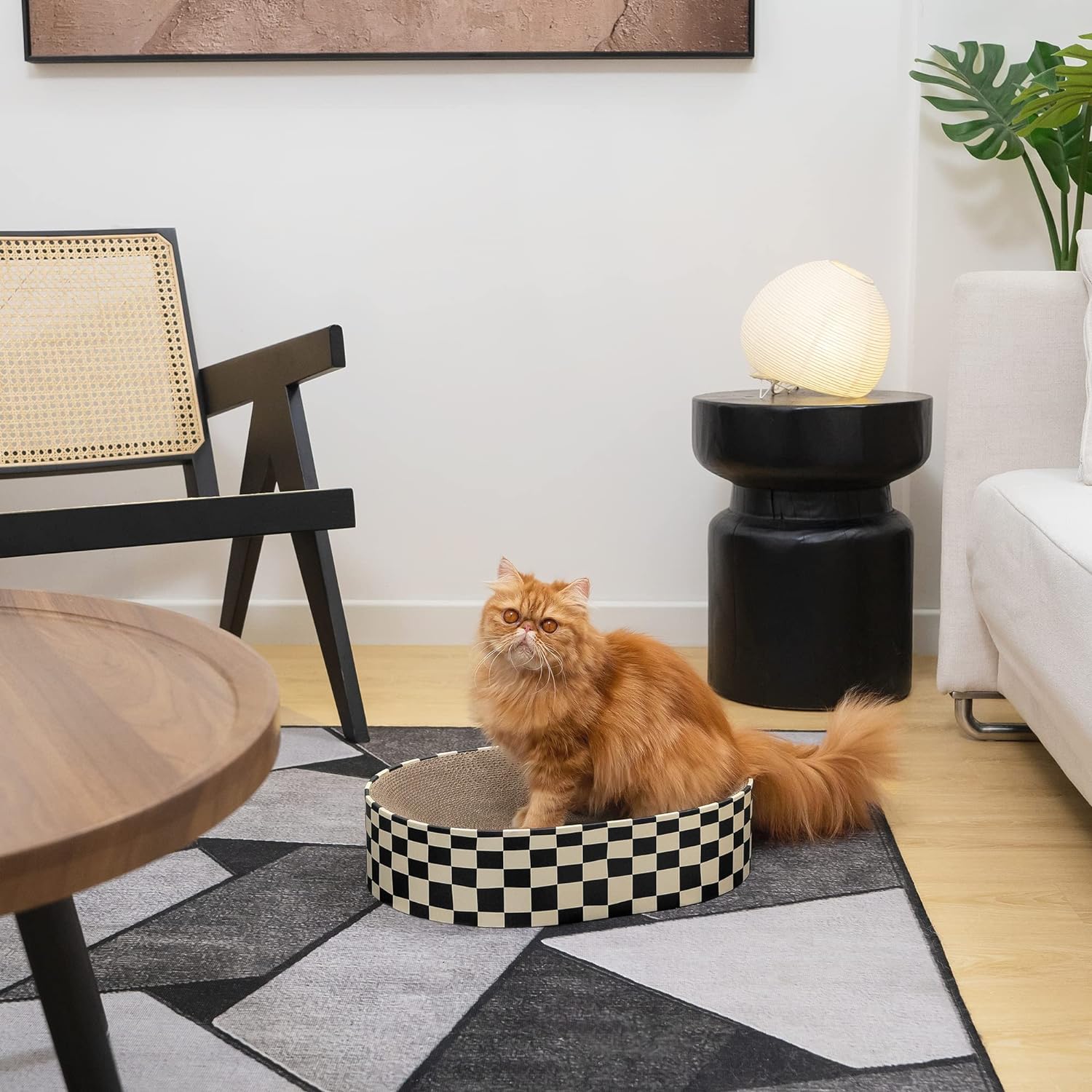KFX-6758461 Indoor 2-in-1 Cat Scratcher and Nest Bowl - Cardboard Oval Design, 50.5 x 30 x 9.5 cm, Lightweight 2.5 kg