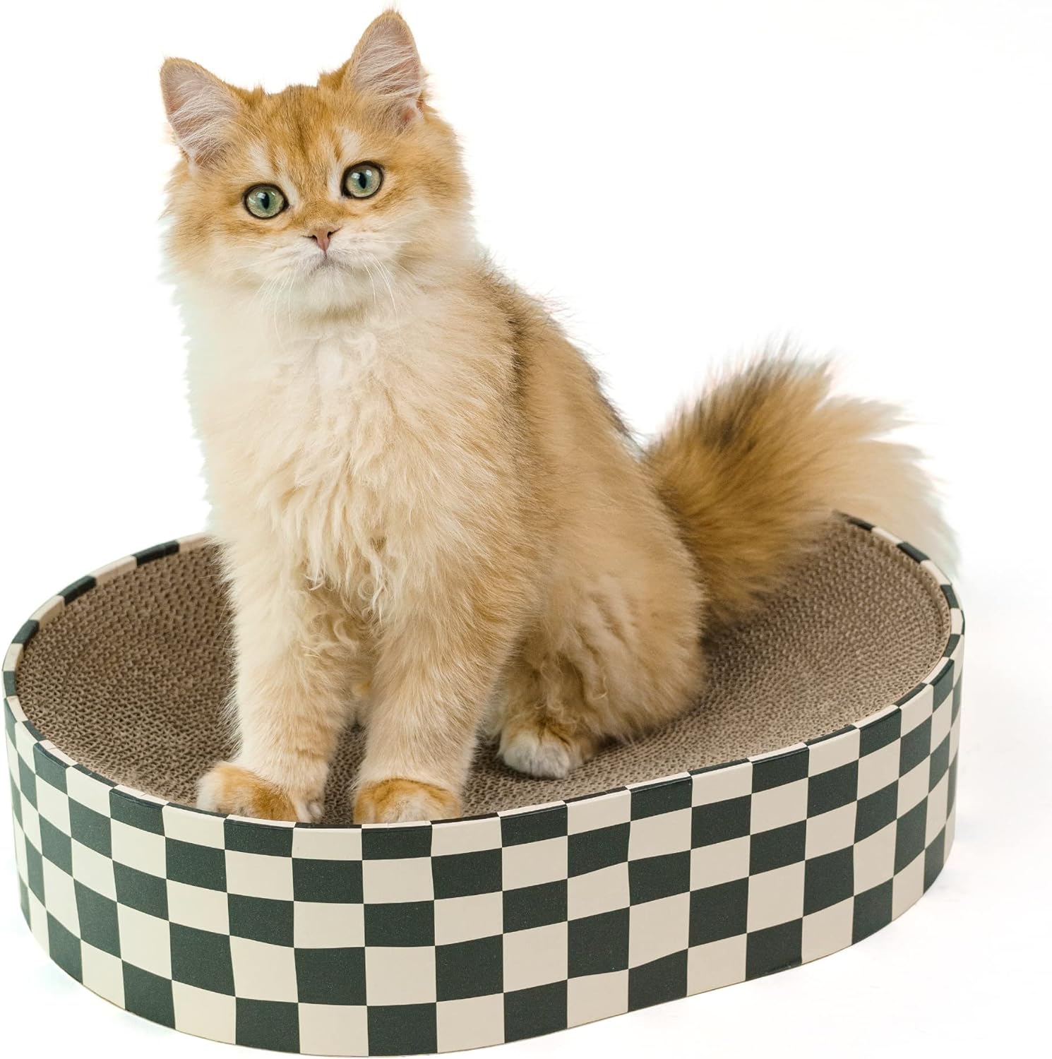 KFX-6758461 Indoor 2-in-1 Cat Scratcher and Nest Bowl - Cardboard Oval Design, 50.5 x 30 x 9.5 cm, Lightweight 2.5 kg