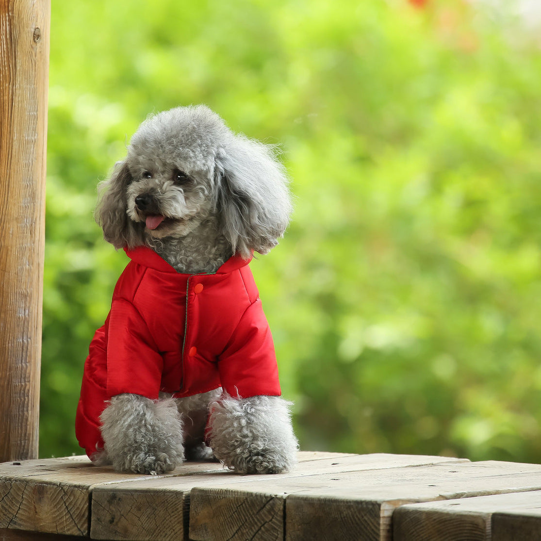 KFX-6759357 Cozy Cotton Winter Coats for Small Dogs - Bichon, Pomeranian, and More