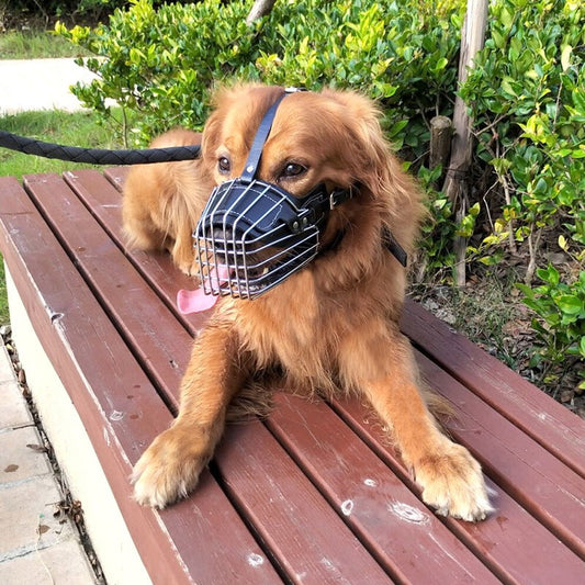 KFX-6760637 Adjustable Soft Leather Dog Muzzle with Anti-Bite Design - Perfect Fit for Safety and Comfort